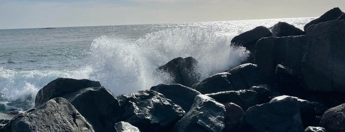 Praia Ribeira Brava is one of Мадейра.