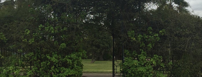 Jardín Botánico "Prof. Atilio Lombardo" is one of Locais curtidos por Jadiânia.