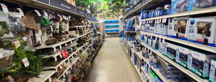 PetSmart is one of Freshwater Fish Stores.