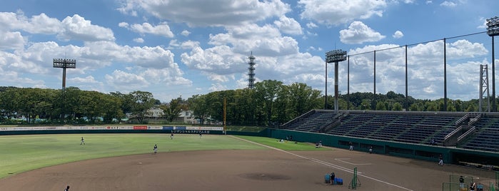 レジデンシャルスタジアム大宮 is one of baseball stadiums.