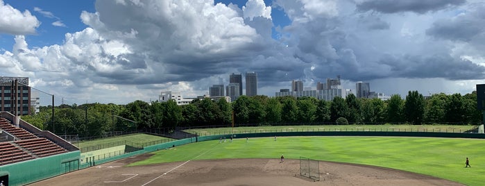 柏の葉公園野球場 is one of Sports venues.