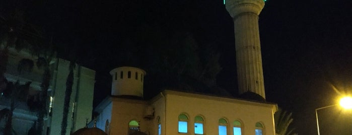 Hasan Şenli Saray Camii is one of Davut'un Beğendiği Mekanlar.