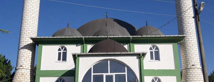 Doğalar Köyü Yeni Camii is one of Merkez Koyler | Spirituel Merkezler.