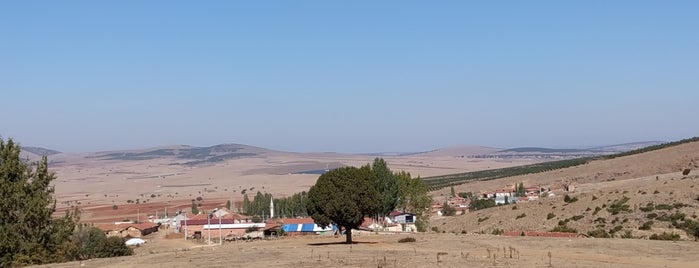Yenikaraağaç is one of Kütahya | Altıntaş İlçesi Köyleri.