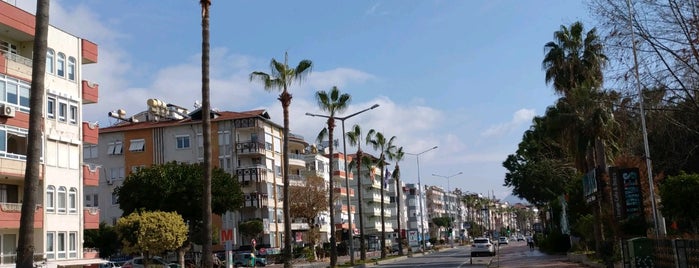 Ahmet Tokuş Bulvarı is one of Lieux qui ont plu à Yunus.