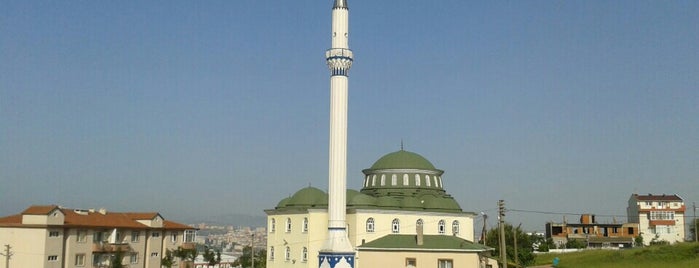 Fatih Camii is one of Balıkesir | Spirituel Merkezler.