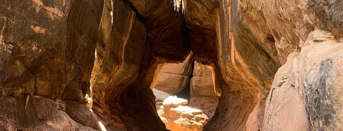 Canyonlands Needles District is one of Get outside - camp/hike.