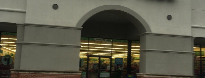 Dollar Tree is one of You See Me Shopping Solo.