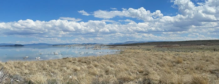 Mono Lake Tufa State Natural Reserve is one of CA Nature.