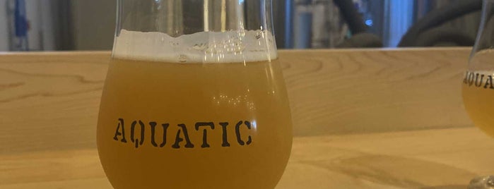 Aquatic Brewing is one of cape cod.