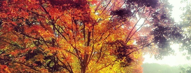 East Falls Church Park is one of Four Mile Run Trail.