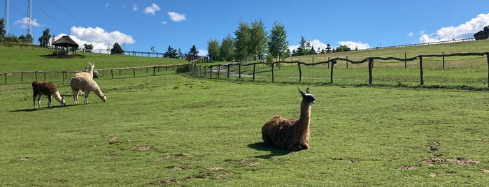 Farma PARK is one of Kdo si hraje, nezlobí....