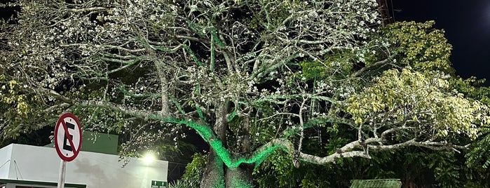 Monte do Bom Jesus is one of PE-Caruaru-Conhecer.