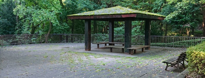 谷戸池公園 is one of 神奈川県の公園.