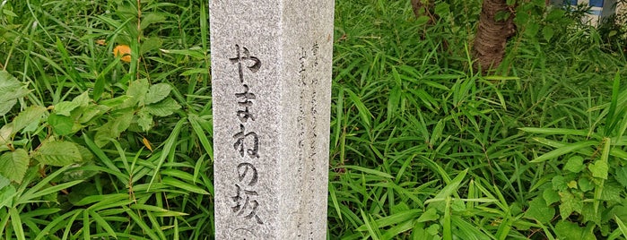 やまねの坂 is one of 相模原/座間/大和の坂道を歩く.