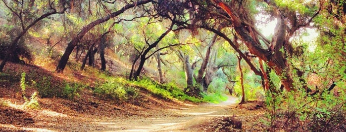 Marshall Canyon Regional Park is one of Orte, die eric gefallen.