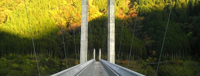 南アルプス接岨大吊橋 is one of 静岡県の吊橋.