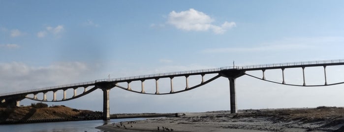 潮騒橋 is one of 静岡県の吊橋.