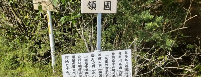 Ashigara Castle Ruins is one of Lugares favoritos de Yuzuki.