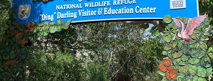 J.N. "Ding" Darling National Wildlife Refuge is one of Captiva/Sanibel: Let's Do This.