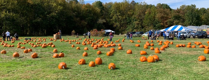 Fairfield Farms & Greenhouses is one of 10/27.
