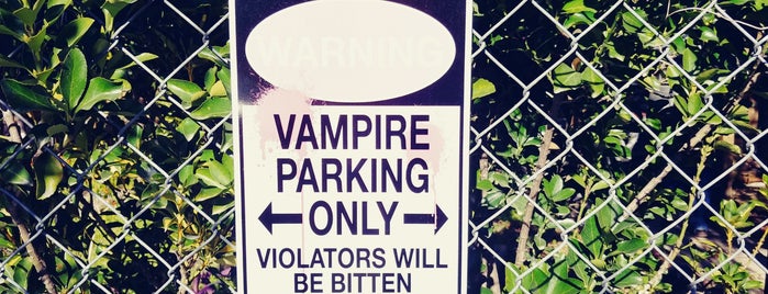 The Glass Coffin: Vampire Parlour is one of Places In Texas.