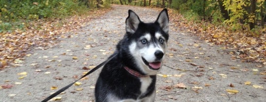 Glenview Woods (Cook County Forest Preserve) is one of Locais salvos de Stacy.