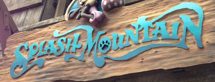 Splash Mountain is one of Disney World.