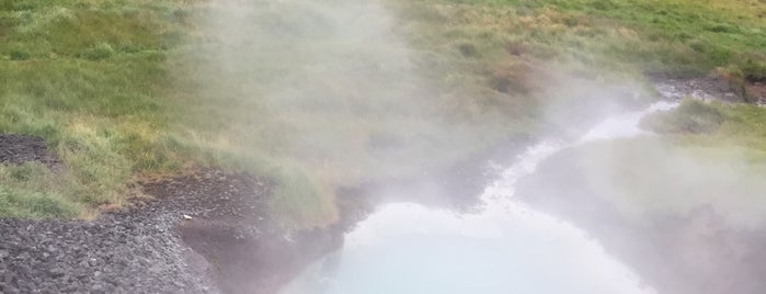 Geothermal Park Hverasvæðið is one of Iceland.