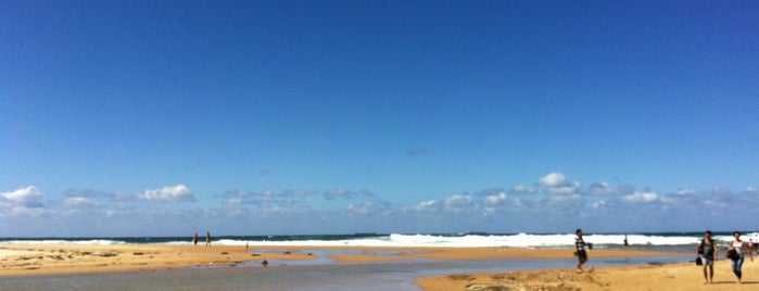 North Wollongong Beach is one of Matt'ın Beğendiği Mekanlar.