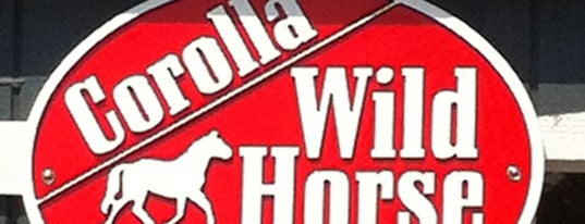 Corolla Wild Horse Tours is one of Locais curtidos por Lizzie.