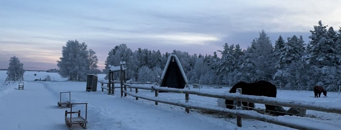 Rovaniemi is one of Tempat yang Disukai Dilek.