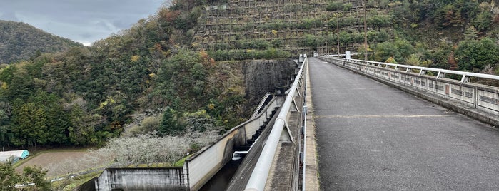 八塔寺川ダム is one of ダムカードを配布しているダム（西日本編）.