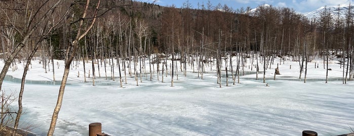 Shirogane Blue Pond is one of Japan with JetSetCD.