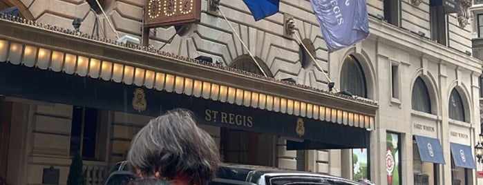 The St. Regis New York is one of Hotels.