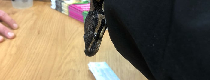 Northampton Reptile Centre is one of Regular Visits.