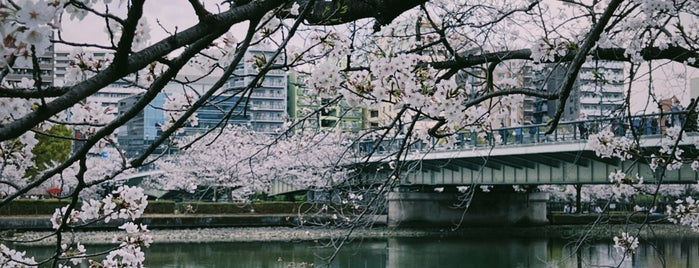 大阪ふれあいの水辺 is one of サイクルロード.