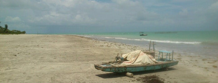 Praia de Pratagy is one of O que fazer em Alagoas.