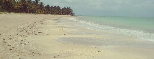 Praia de Paripueira is one of O que fazer em Alagoas.