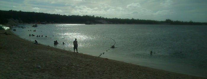 Praia do Gunga is one of O que fazer em Alagoas.