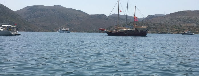 Martı Marina & Yacht Club is one of Tempat yang Disukai Mertesacker.