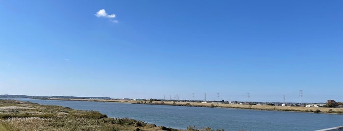 常総大橋 is one of 渡った橋（東日本）.