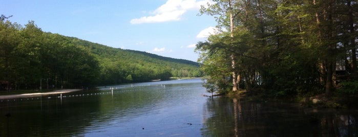 Locust Lake State Park is one of Pottsville,PA & Schuylkill County #visitUS.