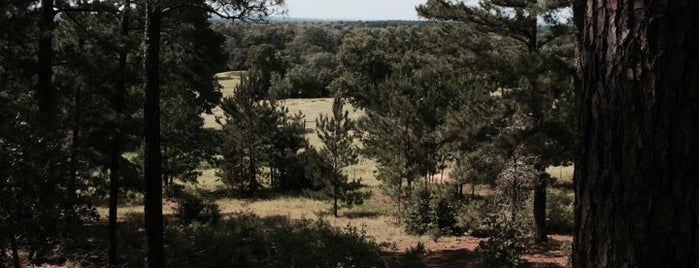 9E Ranch Bed & Breakfast is one of Bastrop County.