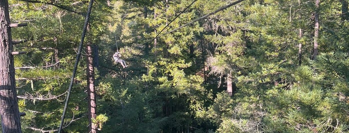 Sonoma Canopy Tours is one of North coast.