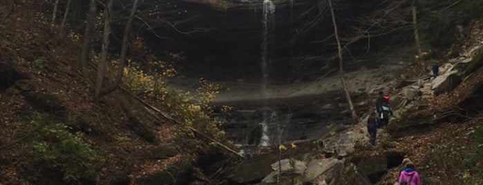 Tinker's Falls Park is one of Patrick’s Liked Places.