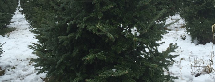 Goldenman Tree Farm is one of Lieux qui ont plu à Jeremy.