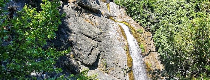 Lieux qui ont plu à Burcu