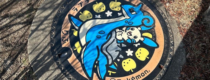 Pokémon manhole cover (Poké Lid) Lapras Minun is one of ポケモンマンホール.