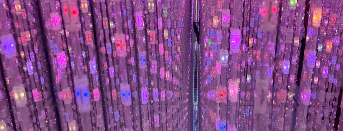 teamLab Planets is one of Tokyo museums and museum tours.